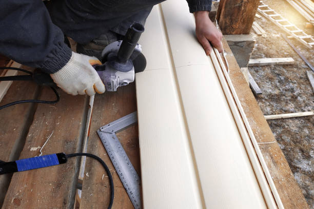 Best Custom Trim and Detailing for Siding  in Wagner, SD